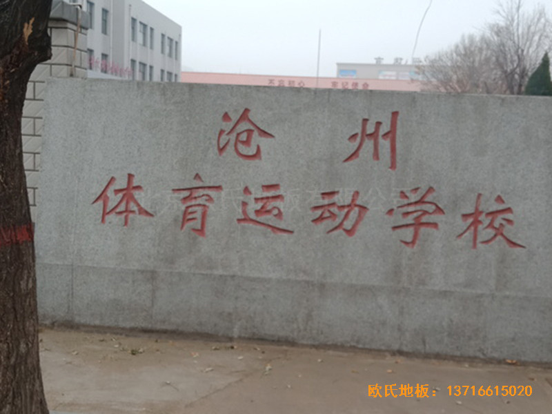 ӱwW(xu)@^wľذO(sh)0